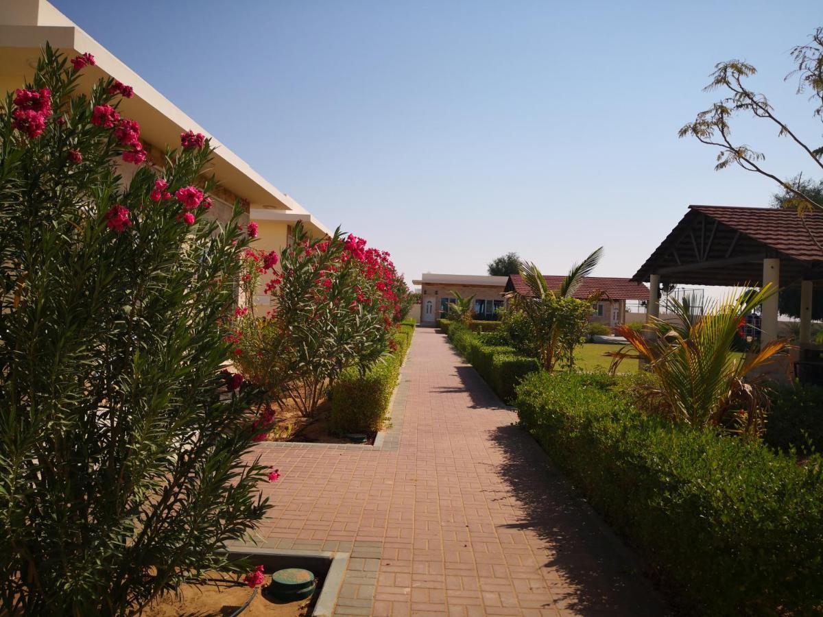 Almorouj Farm Inn - Badīyah Exteriér fotografie